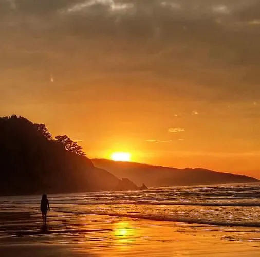 Apartment Puerto Elanchove